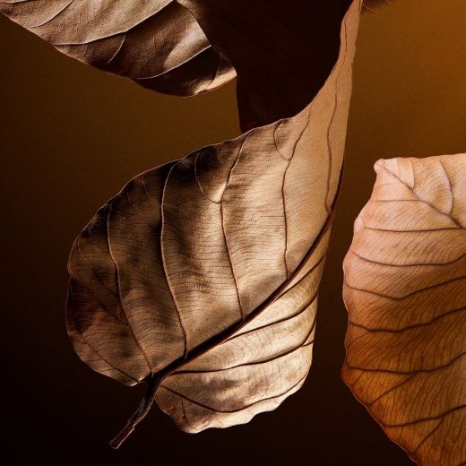 DOLCE&GABBANA The One Pour Homme Eau De Parfum 