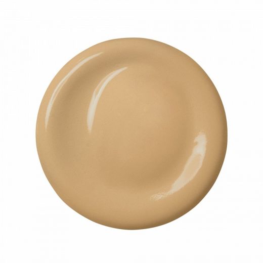 ANASTASIA BEVERLY HILLS The Porefessional Foundation