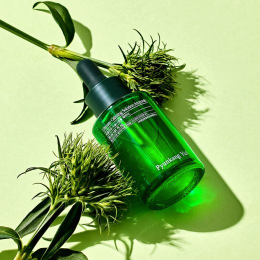 PYUNKANG YUL Ultimate Calming Solution Ampoule