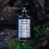MAISON MARGIELA Replica Soul Of The Forest