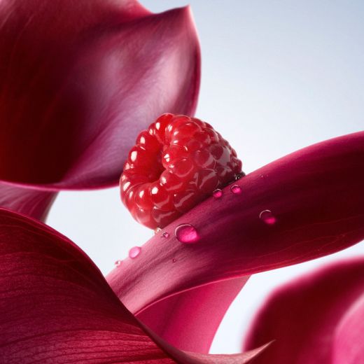 LANCÔME La Vie Est Belle L'elixir Hair And Body Mist