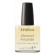 KINETICS Almond Cuticle Essential Oil