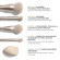 MORPHE Riches Come True 5-Piece Brush & Tool Set
