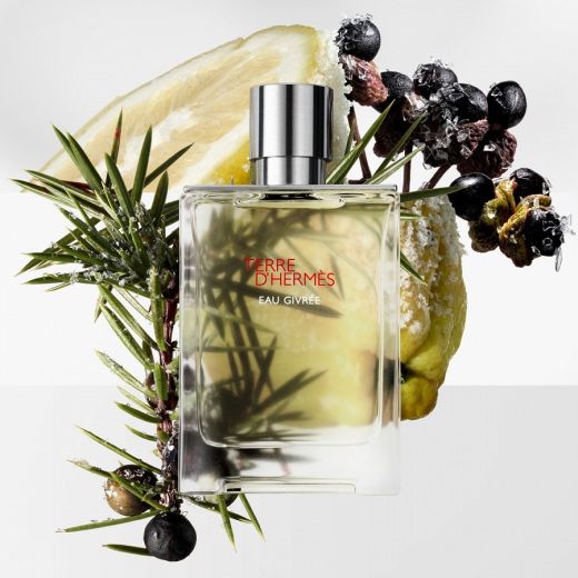 HERMÈS Terre d'Hermès Eau Givrée