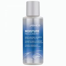 Joico Moisture Recovery Shampoo