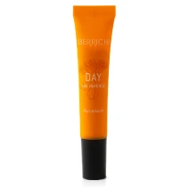 BERRICHI Day Age Defence