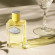 PRADA Infusion d'Ylang 