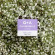 Q+A  Chamomile Night Cream