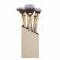 ACCESSOIRES  Prestige  Brush Set 