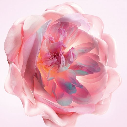 DIOR Miss Dior Melt-In Hand Cream