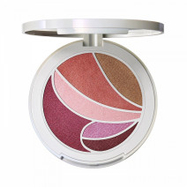 MAC Metamorphosis Face & Eye Palette