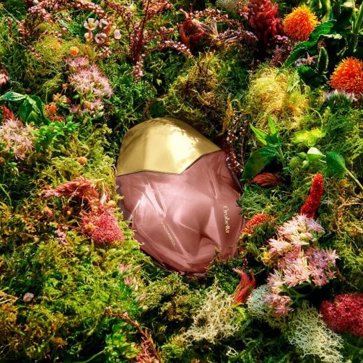 OREBELLA Window2Soul 