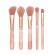 Crystallove Rose Quartz Makeup Brushes Set