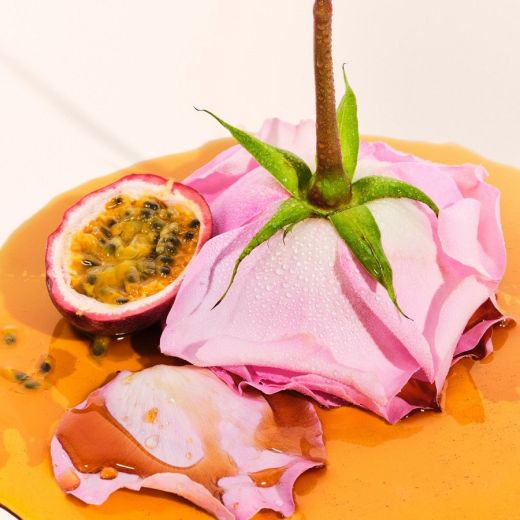 SOL DE JANEIRO A Vida Rosa Set