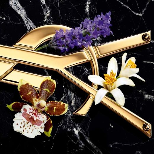 YVES SAINT LAURENT  Libre Intense 