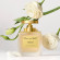 OSCAR DE LA RENTA Alibi Sensuelle