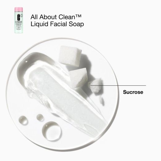 CLINIQUE Great Skin Everywhere Holiday Set 