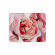 MORPHE Rose Frequency Eyeshadow Palette