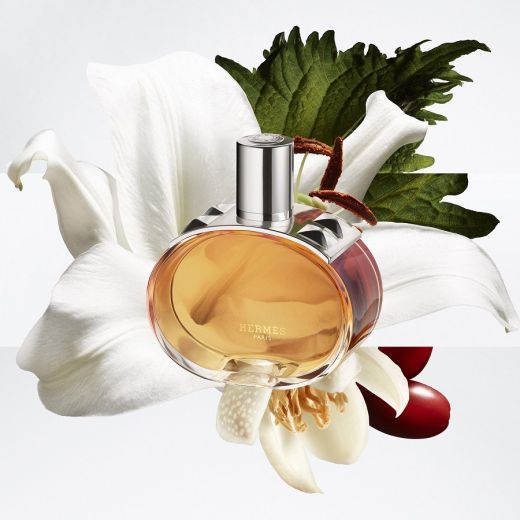 HERMES Barenia Pleine Fleur