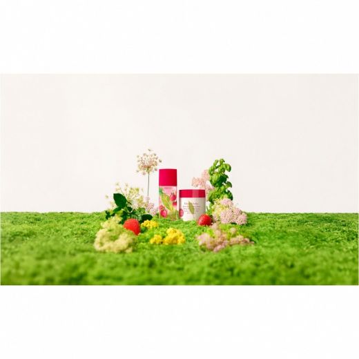 ELIZABETH ARDEN Green Tea Strawberry Basil Honey Drops Body Cream