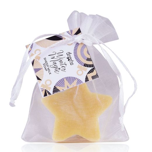 ACCENTRA Winter Magic Soap White Tea 