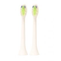 ZoBo Sonic Replacement Heads DT1013 White N2