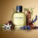DOLCE&GABBANA Pour Homme