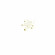 CLARINS Glowing Sun Car Mist Very High Protection SPF 50+ Body 