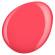 KINETICS SolarGel Nail Polish #206 So Coral
