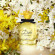 DOLCE&GABBANA Dolce Shine