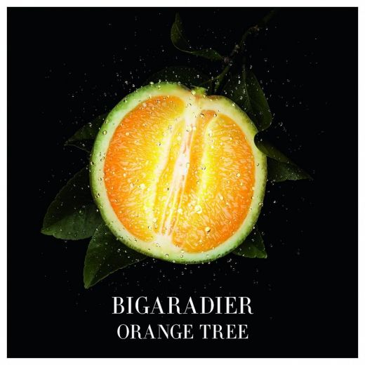 GIORGIO ARMANI Privé Orangerie Venise