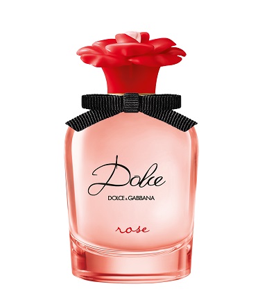 Dolce gabbana rose the one cena best sale