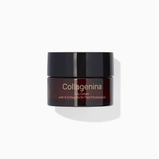 COLLAGENINA Day Cream With 6 Callagens For Fast Penetration Grade 3