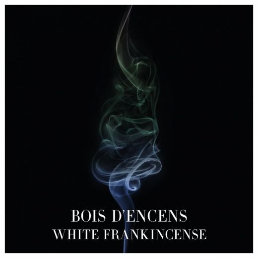 GIORGIO ARMANI Armani Prive Bois d' Encens