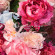 GUERLAIN Aqua Allegoria Rosa Rossa Hand Cream