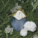 OREBELLA Jasmine Blues Parfum