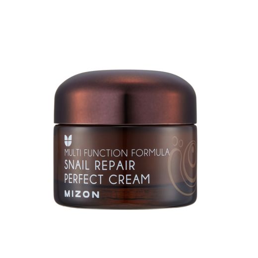 MIZON Snail Repair Perfect Cream