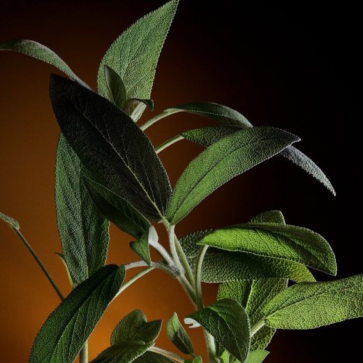 DOLCE&GABBANA The One Pour Homme Eau De Parfum 