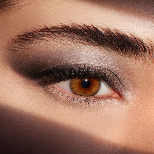 ESTEE LAUDER Pure Color Envy Luxe EyeShadow Quad