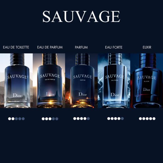DIOR Sauvage Eau de Toilette 
