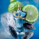 JEAN PAUL GAULTIER Le Beau Narcisse 