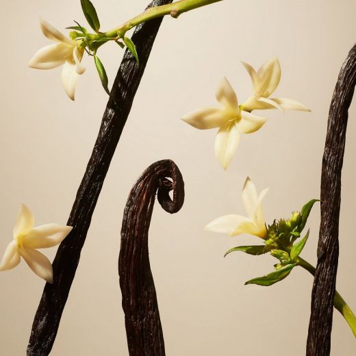 RITUALS Suede Vanilla Home Perfume 