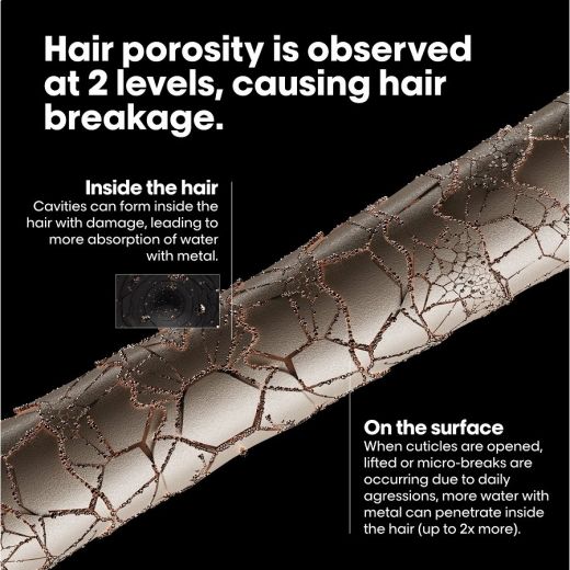 L'ORÉAL PROFESSIONNEL PARIS Metal Detox Mask