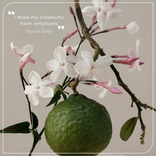 SHISEIDO Zen Essence 