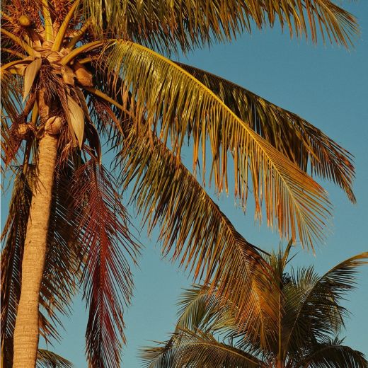 SOL DE JANEIRO Brazilian Crush Cheirosa 39 Coco Cabana™ Perfume Mist