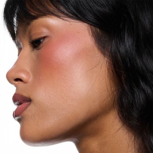 MAC Skinfinish Colourstruck Blush