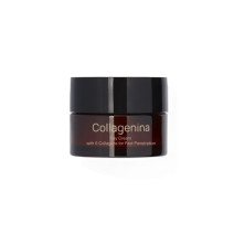 COLLAGENINA Day Cream With 6 Callagens For Fast Penetration Grade 2