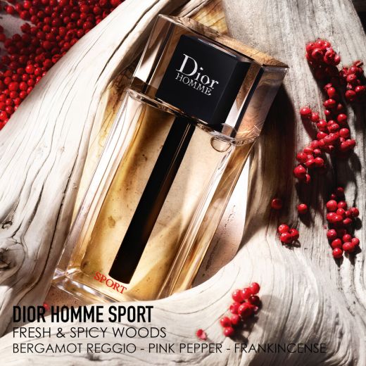 DIOR Homme Sport