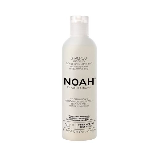 NOAH Anti - Yellow Shampoo With Blueberry Extract