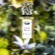 Sisley L'Eau Rêvée d'Hubert